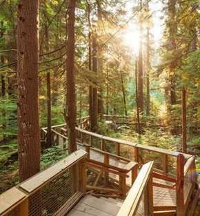 Nature's Edge Boardwalk Nature's Edge Boardwalk