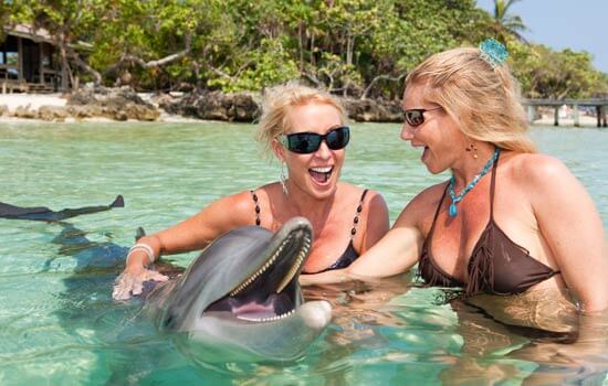 Women swimming with dolphins in the Caribbean sea