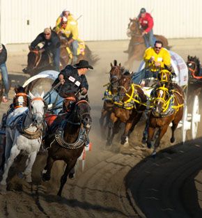 calgary stampede extravaganza holiday calgary stampede extravaganza holiday