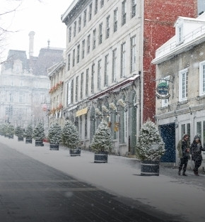 winter rail experience winter rail experience