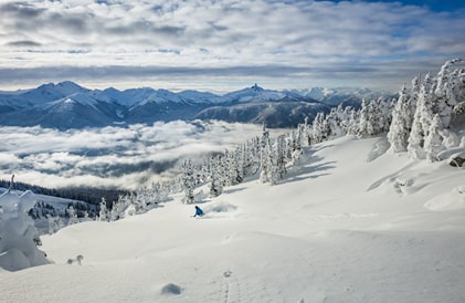 bes ski runs in whistler