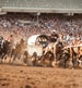 Calgary Stampede Highlights