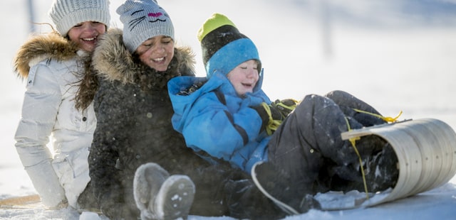 Sledging fun